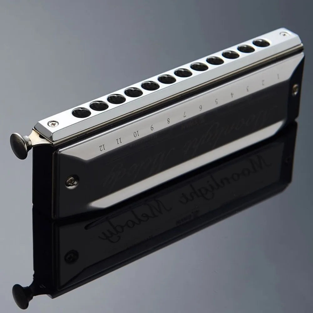 هارمونيكا كروماتيكية C-Key – 10 إلى 16 ثقباً