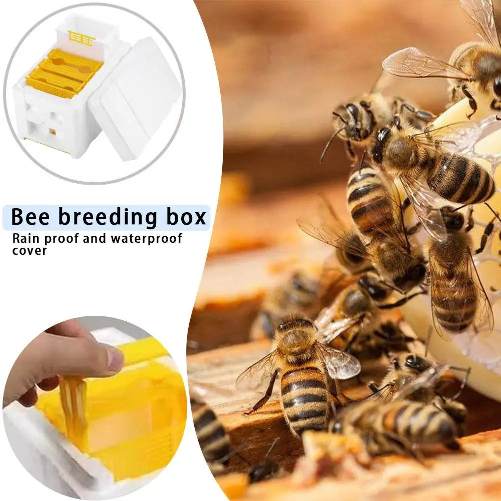 Compact Foam Beekeeping Mating Box
