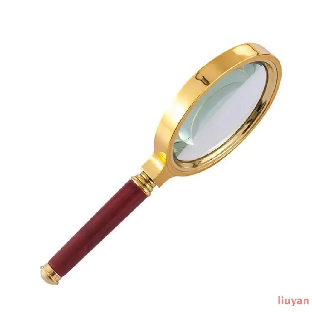 Handheld Reading Magnifier