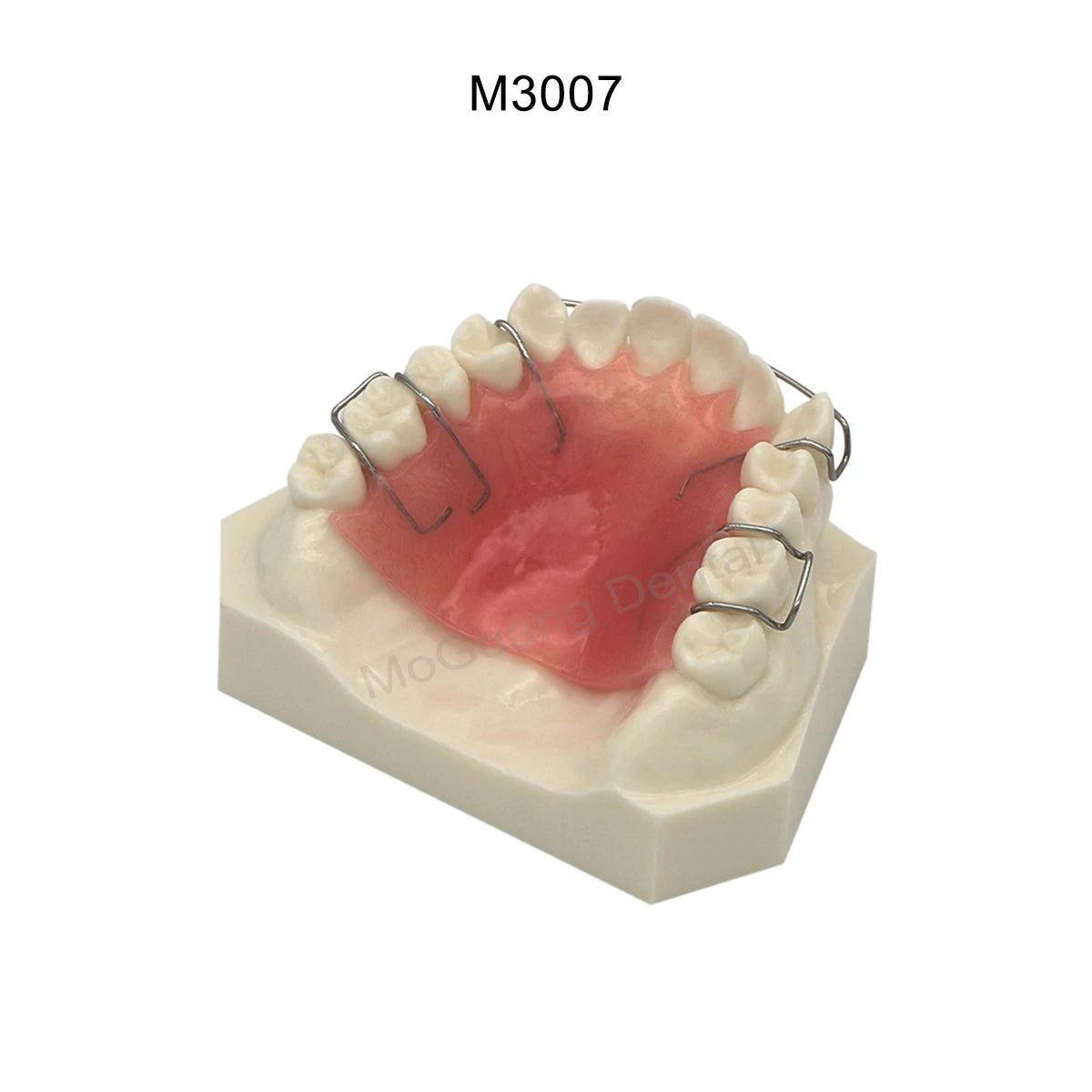 Dental Orthodontic Teaching Models and Cheek Simulator Options