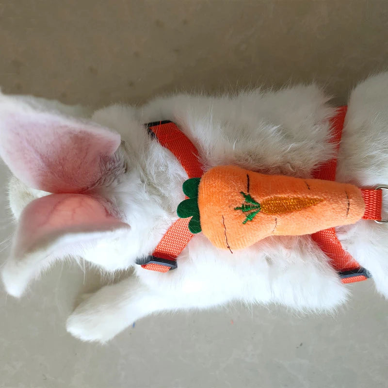 Walking Bunny Guinea Pig Harness for Small Animals Cute Pet Rabbit Harnesses and Leash Set Chinchilla Pigs mascotas Accessories