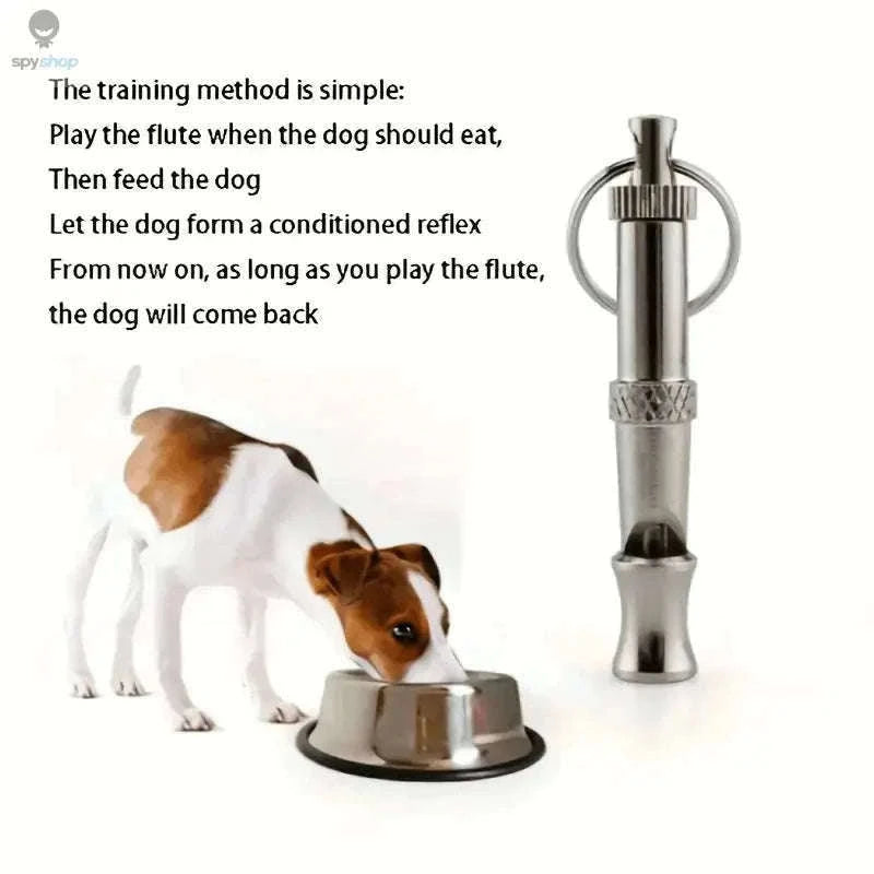 Adjustable Dog Whistle for Bark Control and Recall Training-silver / 2pcs