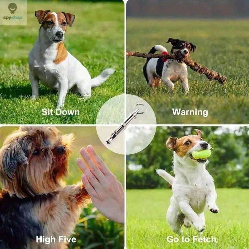 Adjustable Dog Whistle for Bark Control and Recall Training-silver / 2pcs