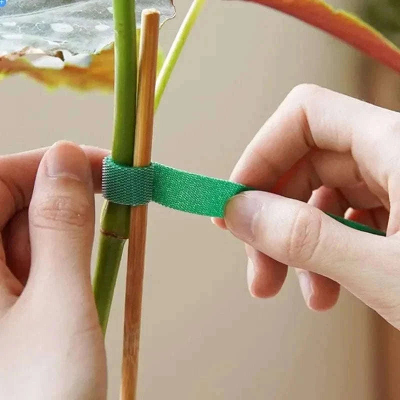 Adjustable Nylon Plant Ties for Gentle Garden Support-1Roll(2M)