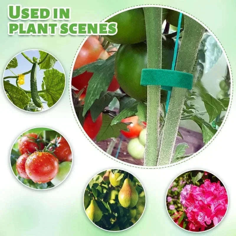 Adjustable Nylon Plant Ties for Gentle Garden Support-1Roll(2M)
