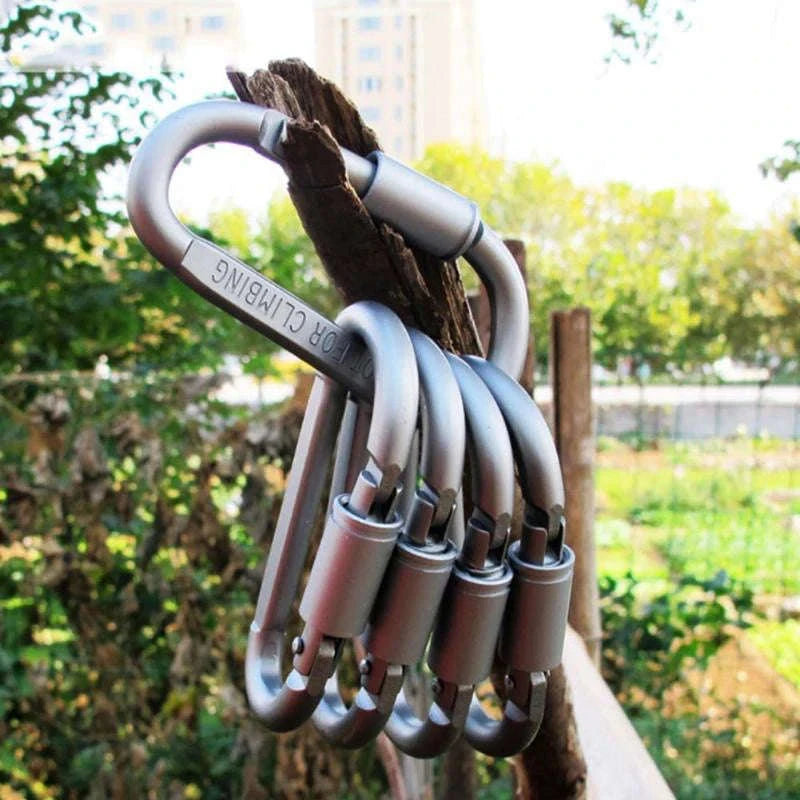 Aluminum Alloy Carabiner Keychain D-Ring Clip-2 pcs / 8 cm / CN