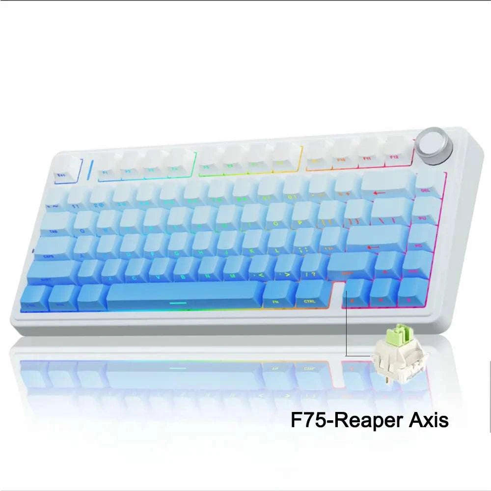 AULA F75 Wireless Mechanical Keyboard RGB 75% Hot Swap 78-Key-Reef Black / White Switch