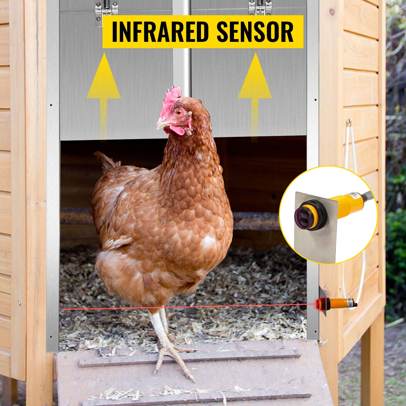 Automatic Chicken Coop Door with Timer, Light Sensor & 2 Remotes-EU plug / 11.8 x 11.8 in / france