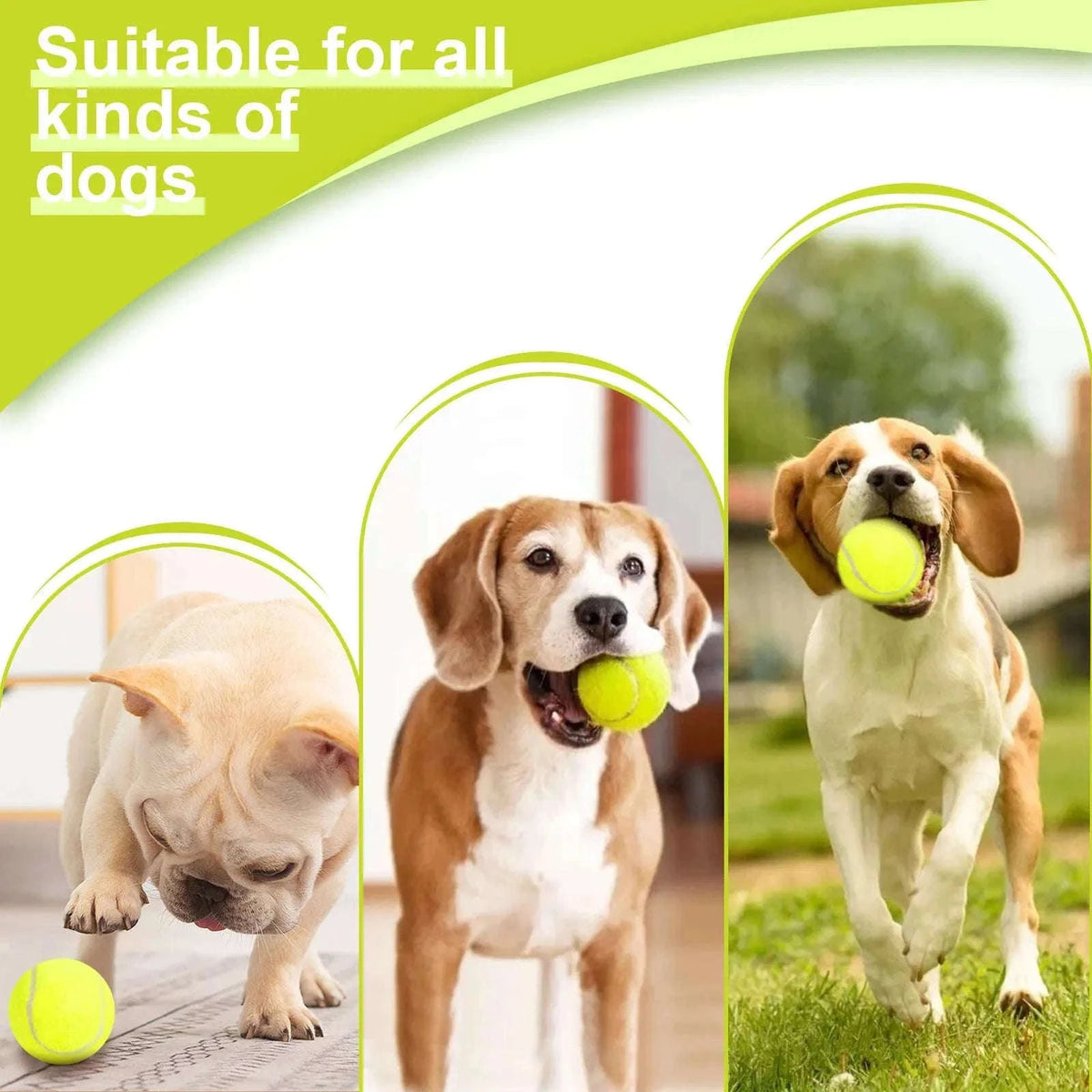 Automatic Dog Ball Launcher with 3 Distances, USB Rechargeable-with 3 tennis / france