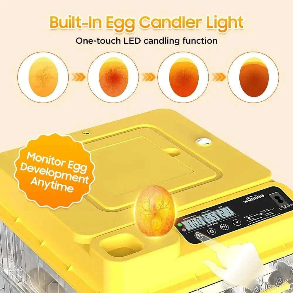 Automatic Egg Incubator 36–216 Capacity with Auto Turning Control-108 Eggs / United States