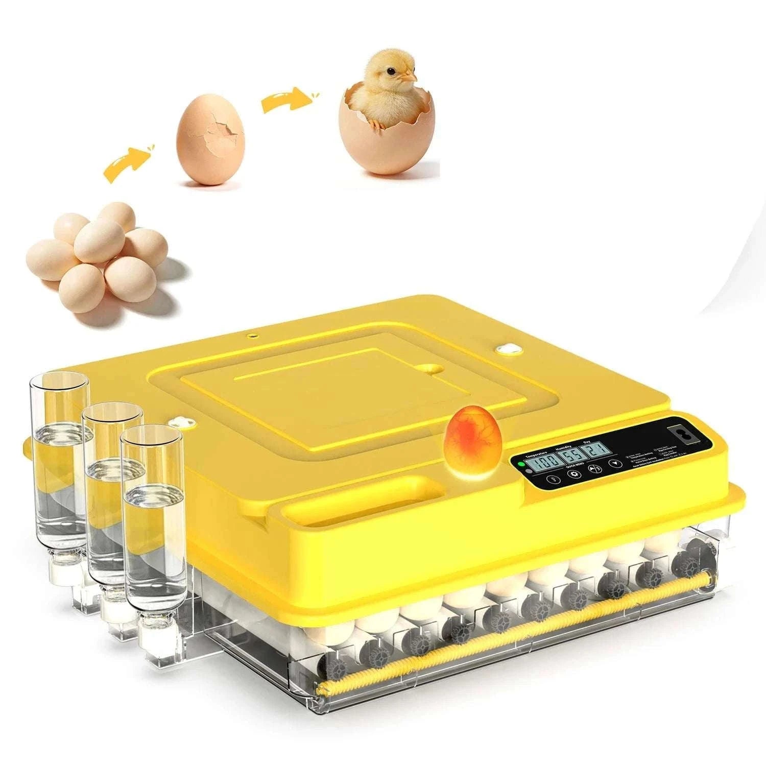 Automatic Egg Incubator 36–216 Capacity with Auto Turning Control-108 Eggs / United States