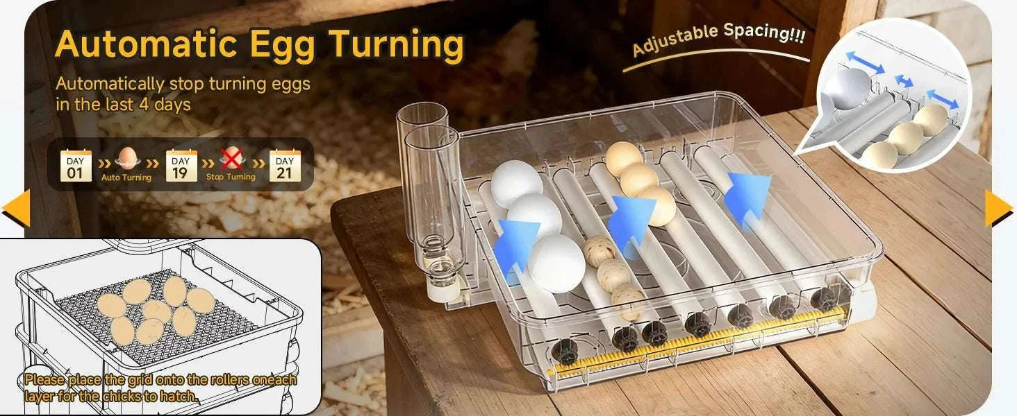 Automatic Egg Incubator 36–216 Capacity with Auto Turning Control-108 Eggs / United States