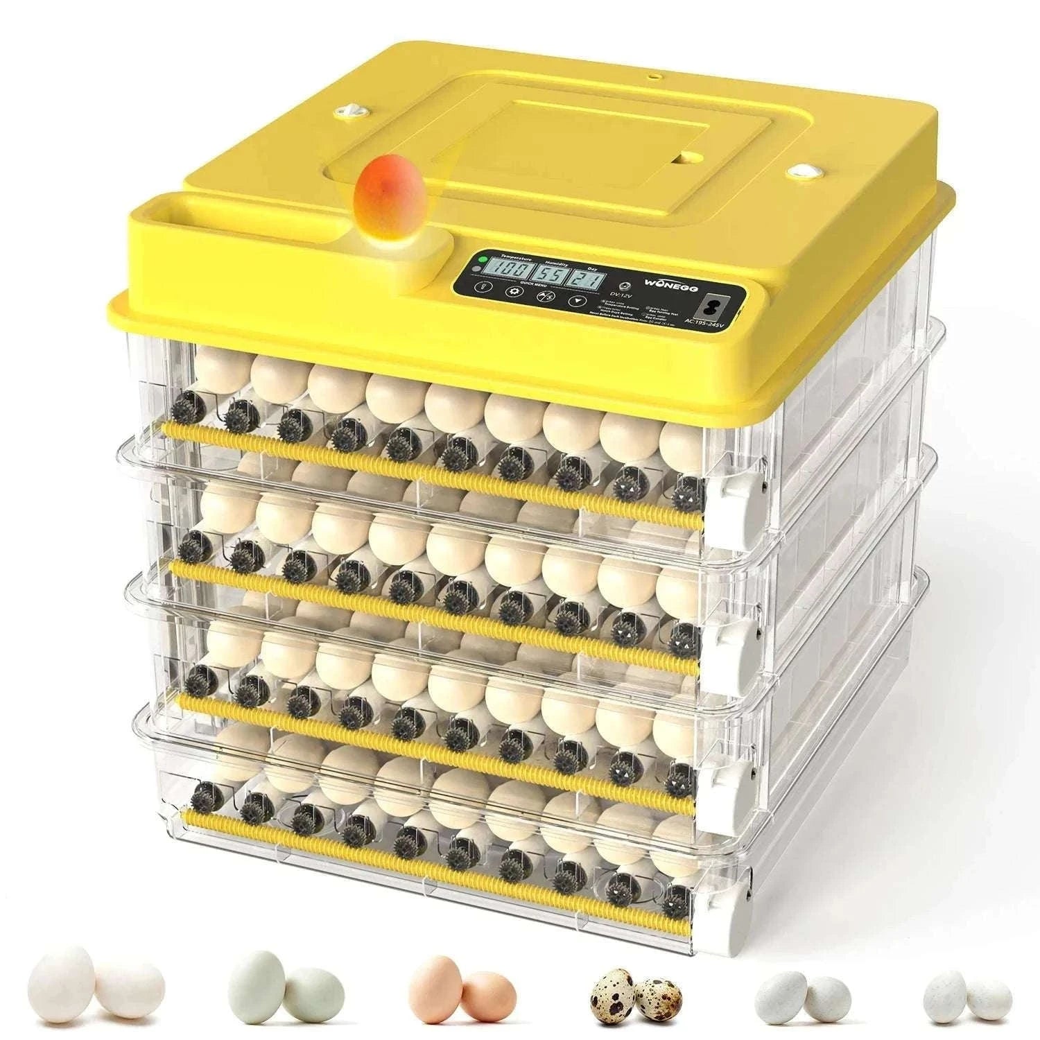 Automatic Egg Incubator 36–216 Capacity with Auto Turning Control-108 Eggs / United States