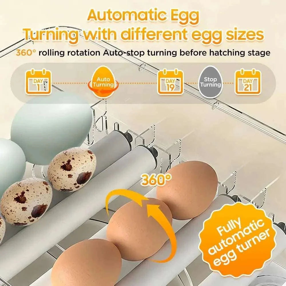 Automatic Egg Incubator 36–216 Capacity with Auto Turning Control-108 Eggs / United States