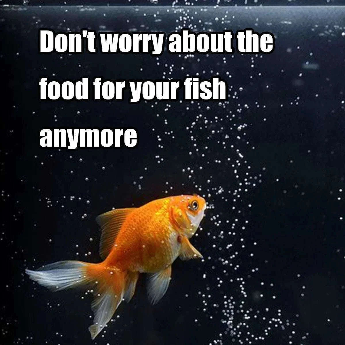 Automatic Fish Feeder with Programmable Timer, 100ml Capacity-Base upgrade version