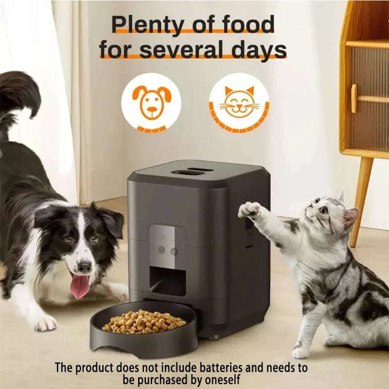 Automatic Pet Feed Dispenser 2L with Smart Feeding & Voice Recording-Black WIFI Feeder / China Mainland