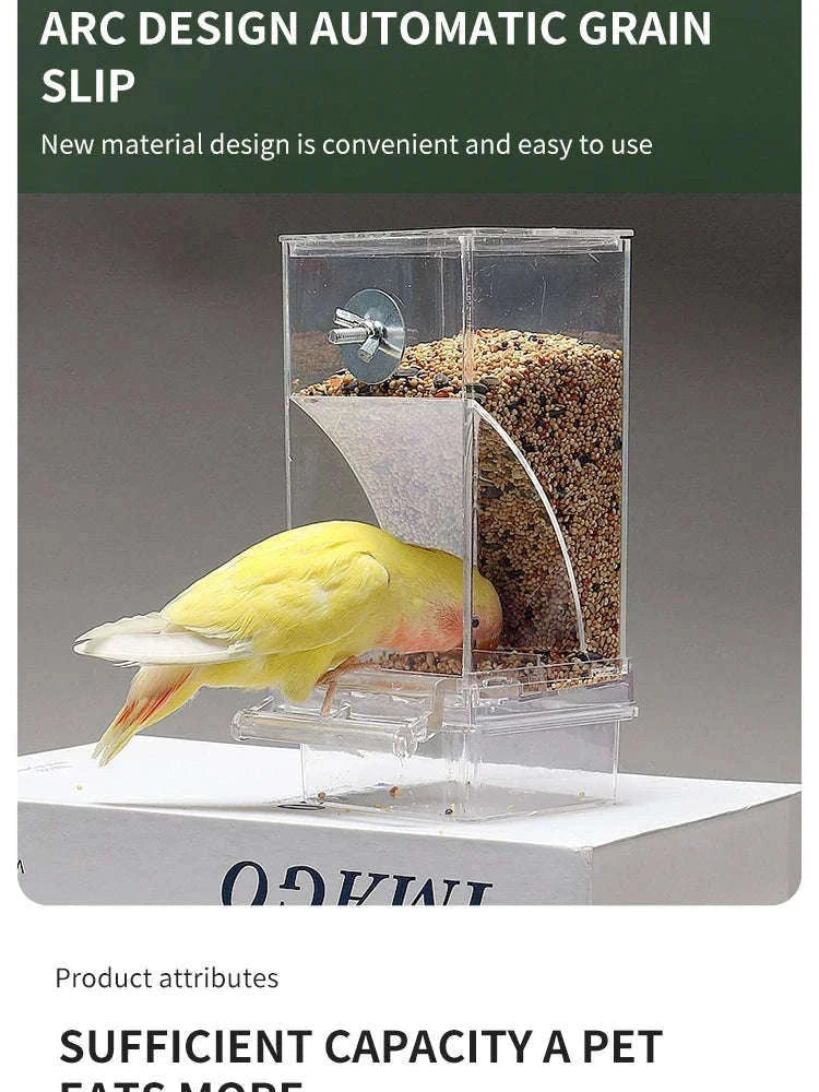 Automatic Spill-Proof Parrot Bird Feeder with Clear Acrylic-White