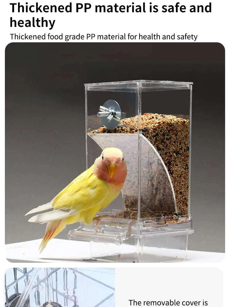 Automatic Spill-Proof Parrot Bird Feeder with Clear Acrylic-White