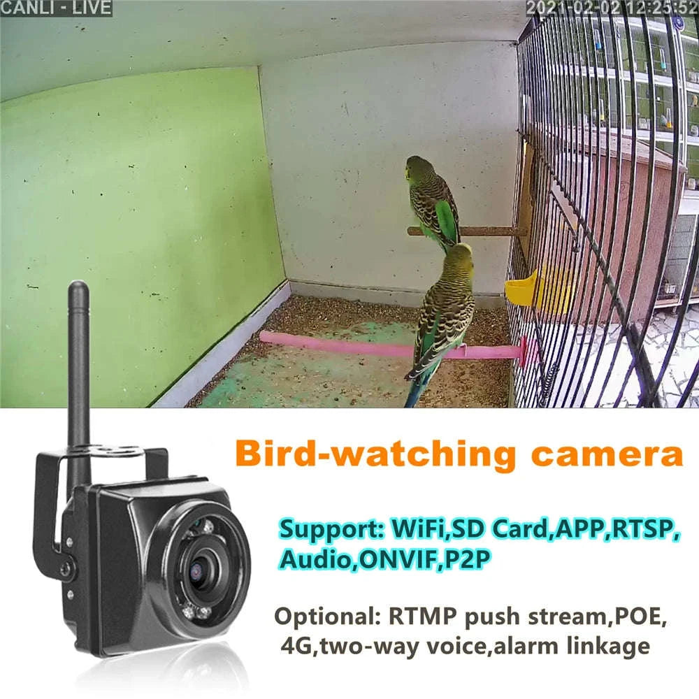 Bird Box Camera Kit with 5MP Night Vision and IP66-2MP wifi / EU Plug / 2.8mm