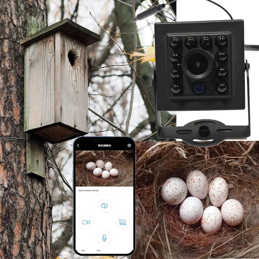 Birdhouse Camera with Wireless WiFi HD Video-5MP WIFI poe