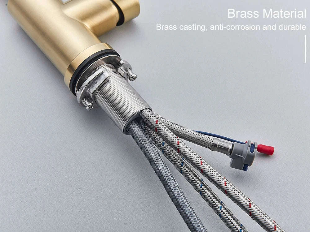 Black Kitchen Faucet with Pull-Out Dual-Function Spray-Brushed Gold / Poland