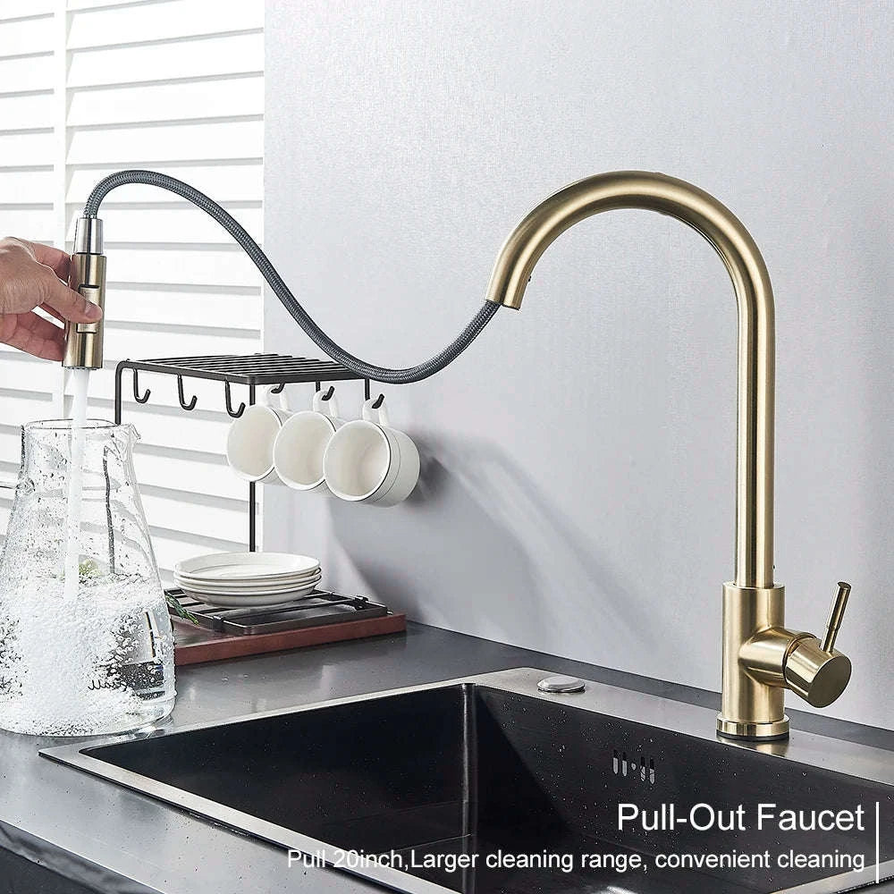 Black Kitchen Faucet with Pull-Out Dual-Function Spray-Brushed Gold / Poland