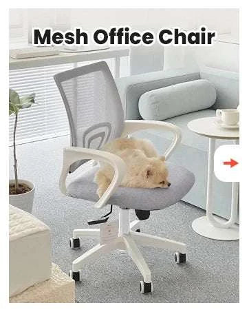 Black Mesh Office Chair with Lumbar Support, Swivel & Adjustable Height-Black / United States