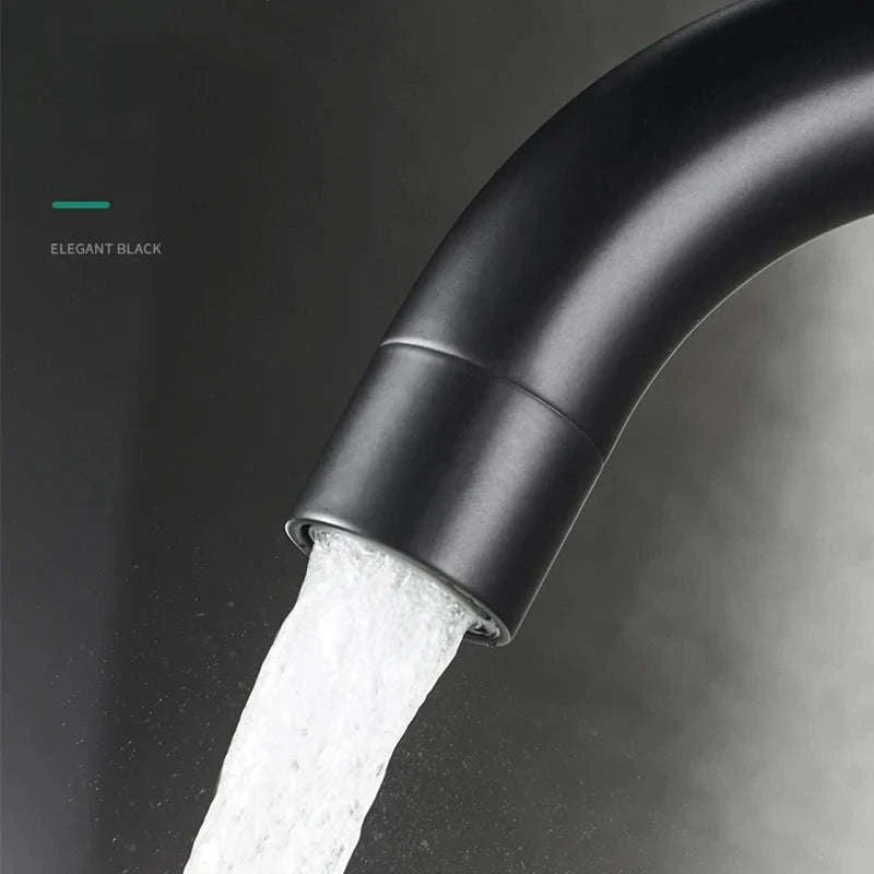 Black Nickel Bathroom Faucet-Black B