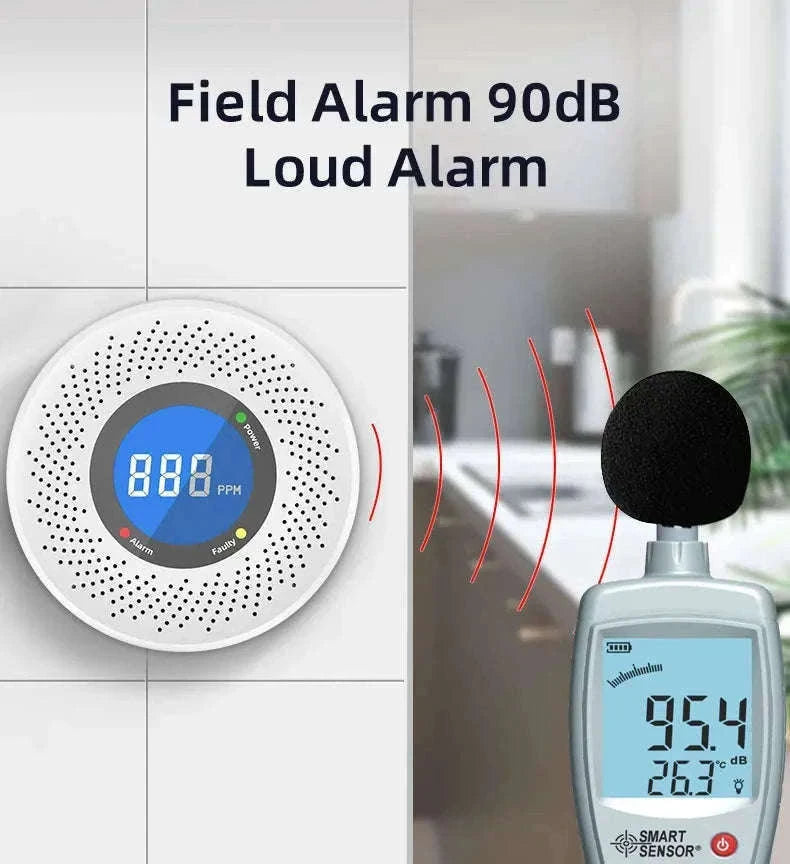 Carbon Monoxide Detector with Digital Display and Battery Power-10-PCS / China Mainland