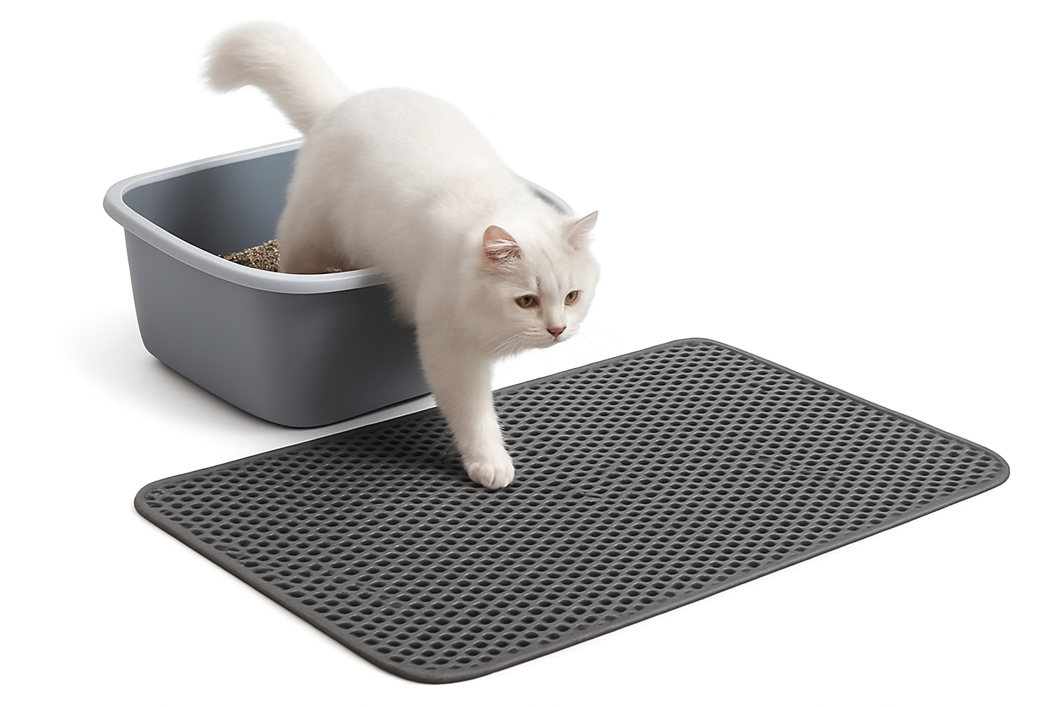 Katzenstreu-Matte mit zweilagigem Sandfang-Design