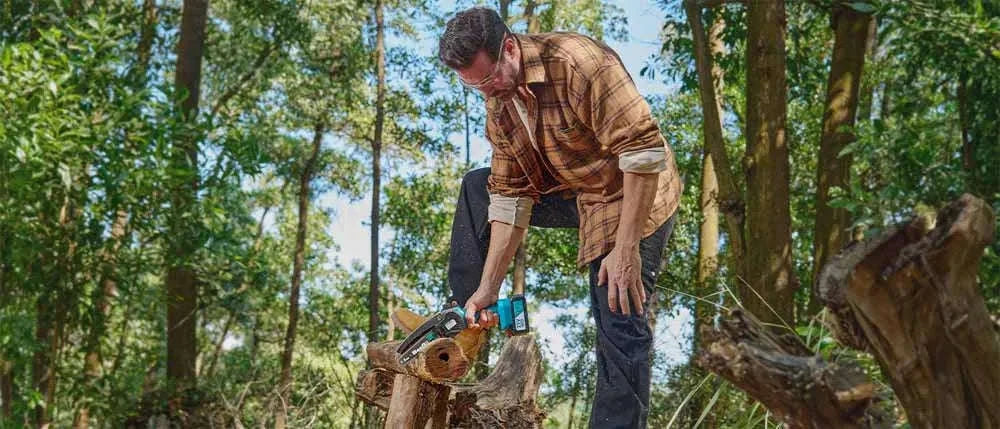 Cordless Mini Chainsaw 6 Inch Rechargeable Pruning Saw-With 2-battery 4.0Ah / EU / GERMANY