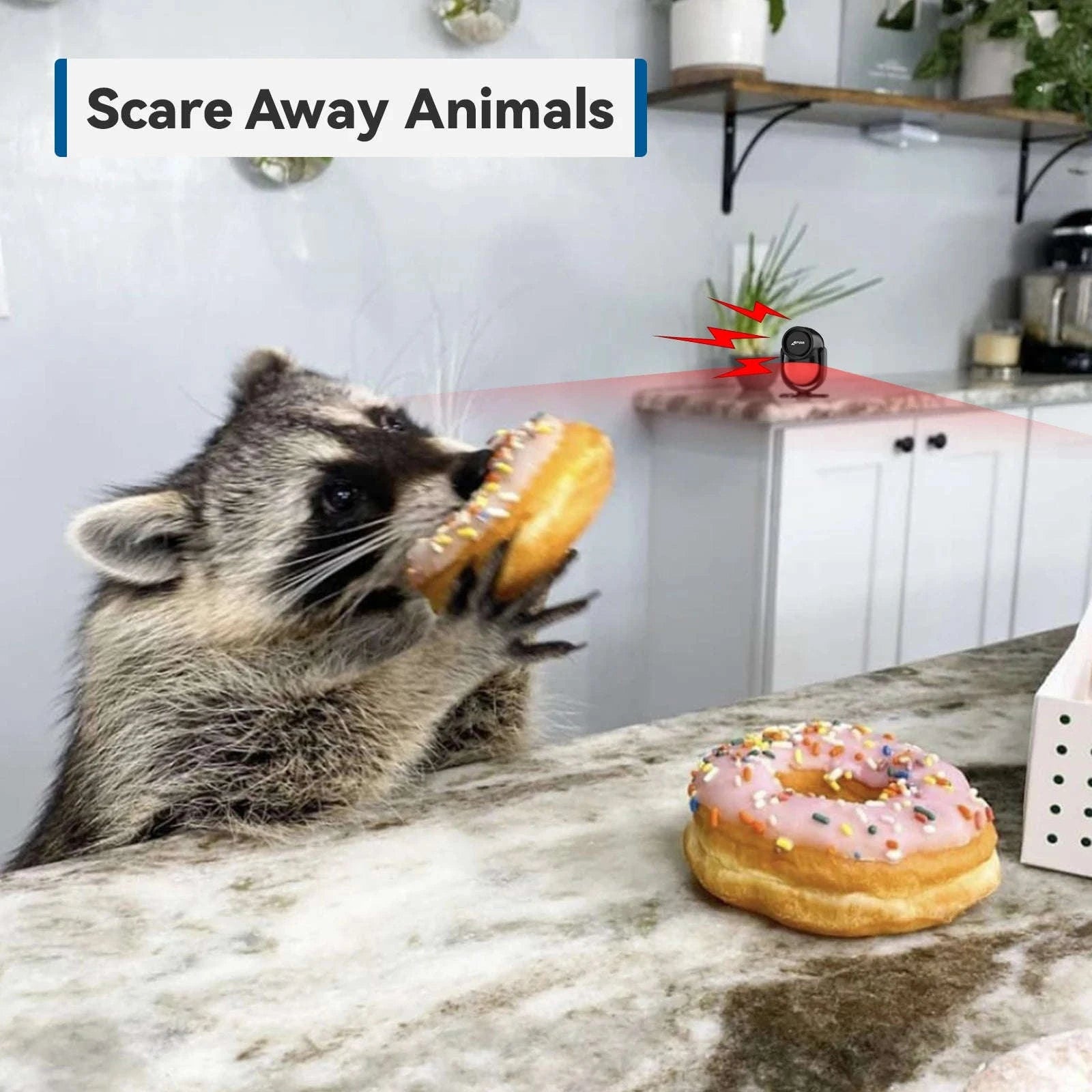 CPVAN Wireless Motion Sensor Alarm with 8m Detection and 125dB Siren-set 1 / United States