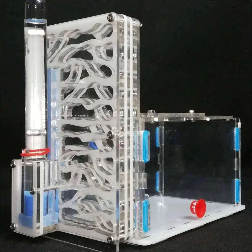DIY Acrylic Ant Nest with Feeding Area and Water Towers-blue / 19x16x9.5cm / China Mainland