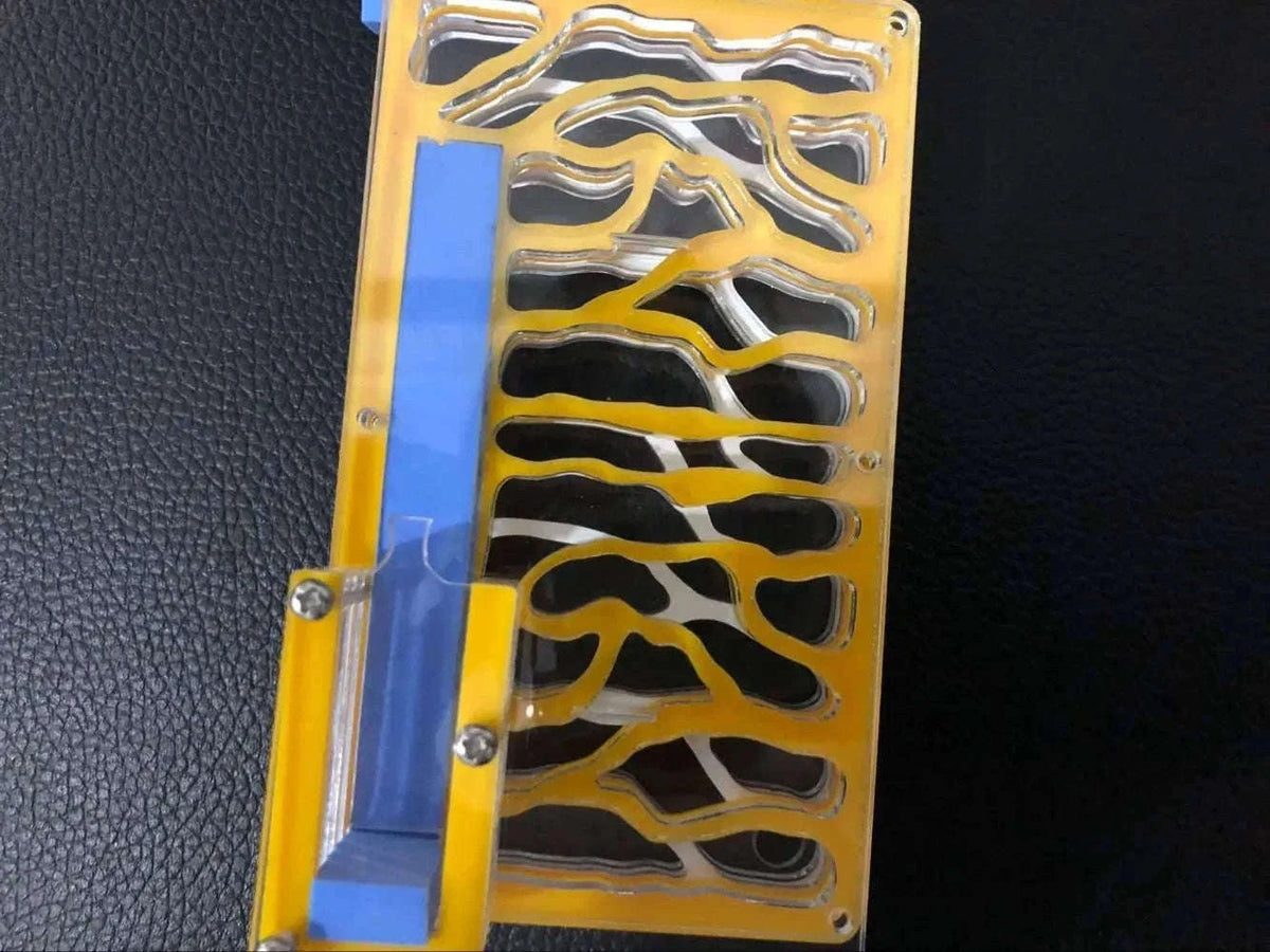 DIY Acrylic Ant Nest with Feeding Area and Water Towers-blue / 19x16x9.5cm / China Mainland