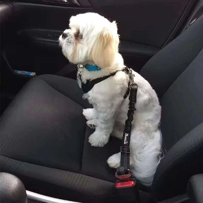 Dog Car Safety Belt with Reflective Damping Design-black