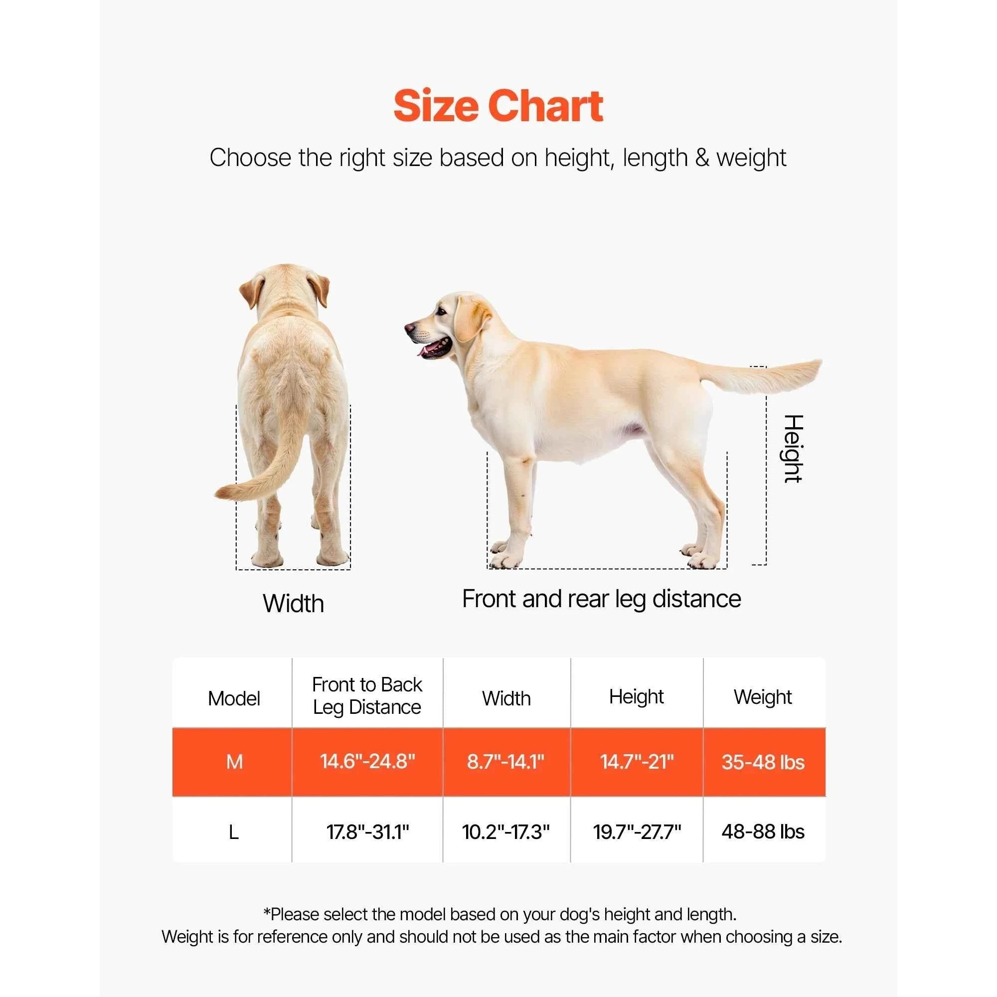 Dog Wheelchair for Back Legs, Lightweight 2-Wheel Adjustable Pet Wheelchair-M 35-48 lbs / spain