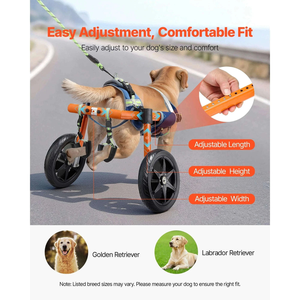 Dog Wheelchair for Back Legs, Lightweight 2-Wheel Adjustable Pet Wheelchair-M 35-48 lbs / spain