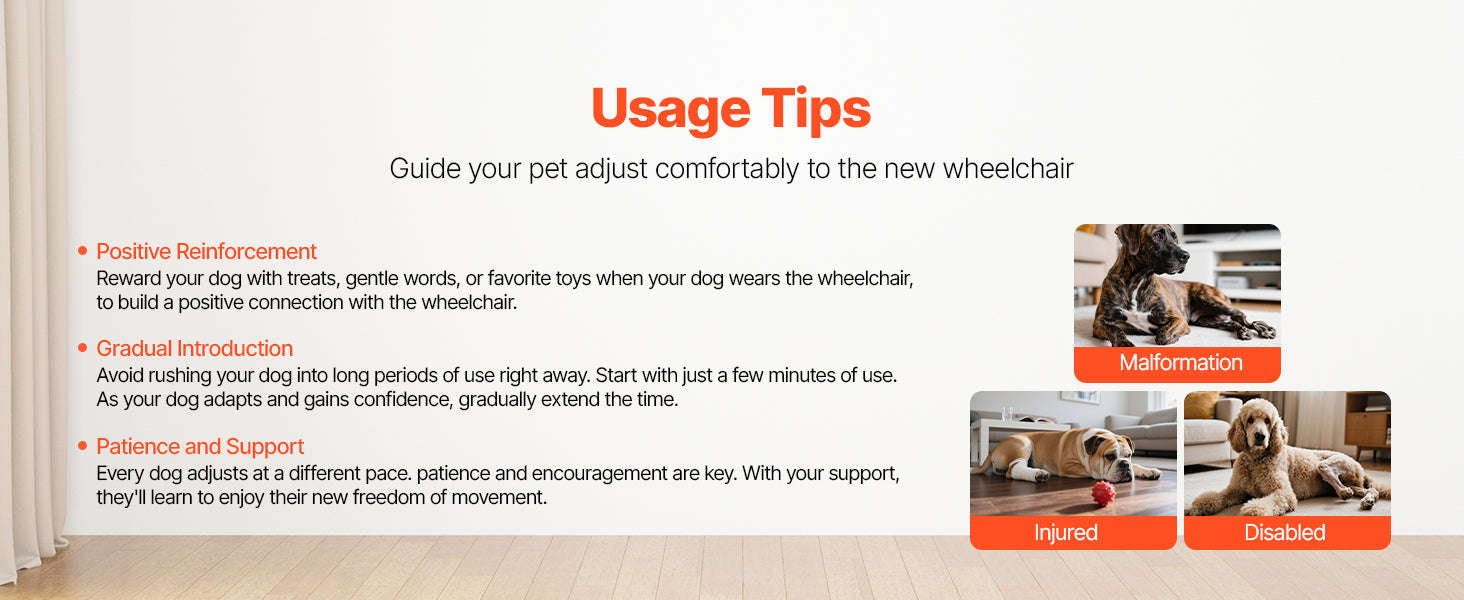 Dog Wheelchair for Back Legs, Lightweight 2-Wheel Adjustable Pet Wheelchair-M 35-48 lbs / spain