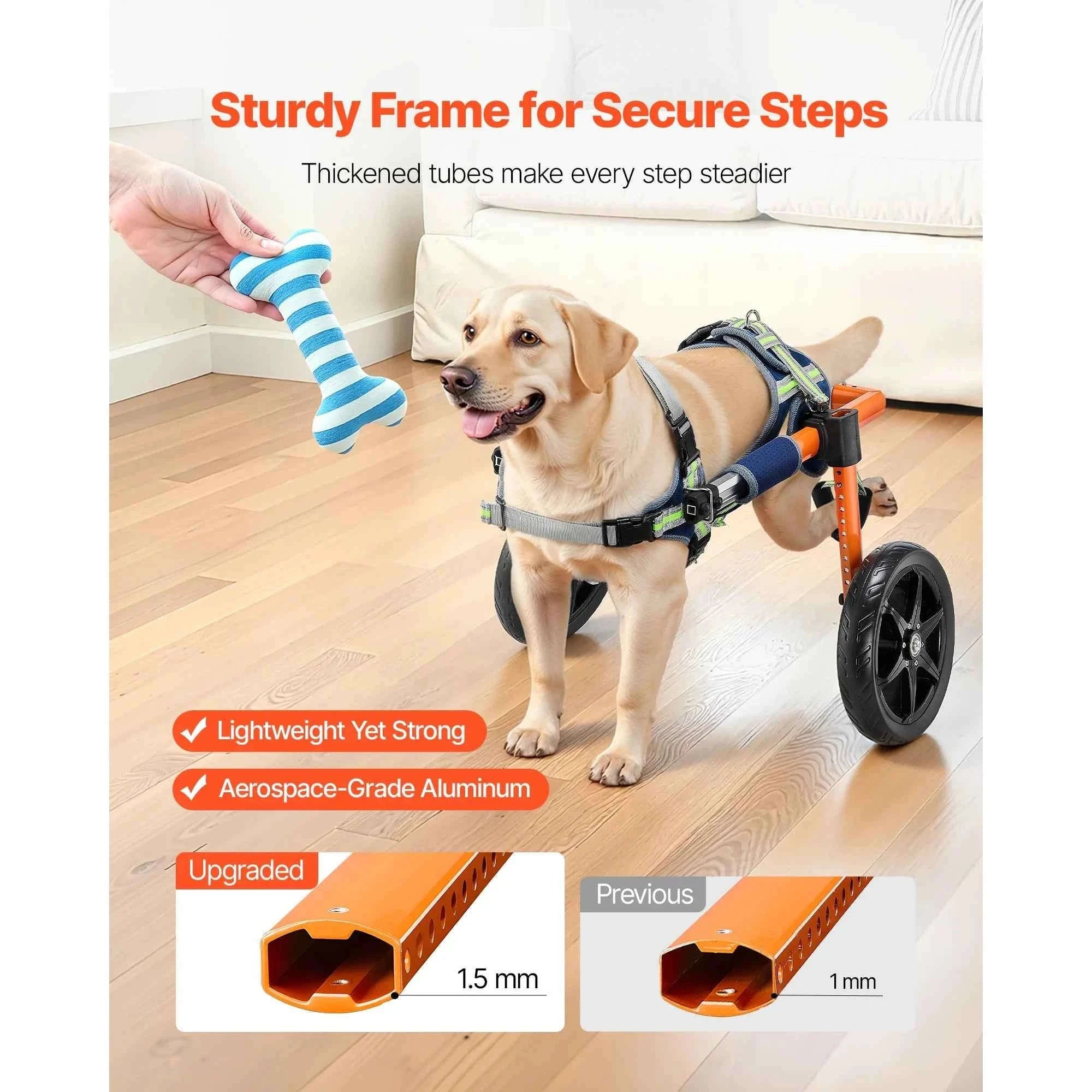 Dog Wheelchair for Back Legs, Lightweight 2-Wheel Adjustable Pet Wheelchair-M 35-48 lbs / spain
