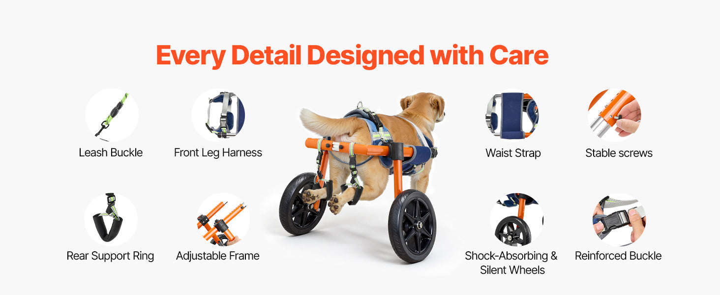 Dog Wheelchair for Back Legs, Lightweight 2-Wheel Adjustable Pet Wheelchair-M 35-48 lbs / spain