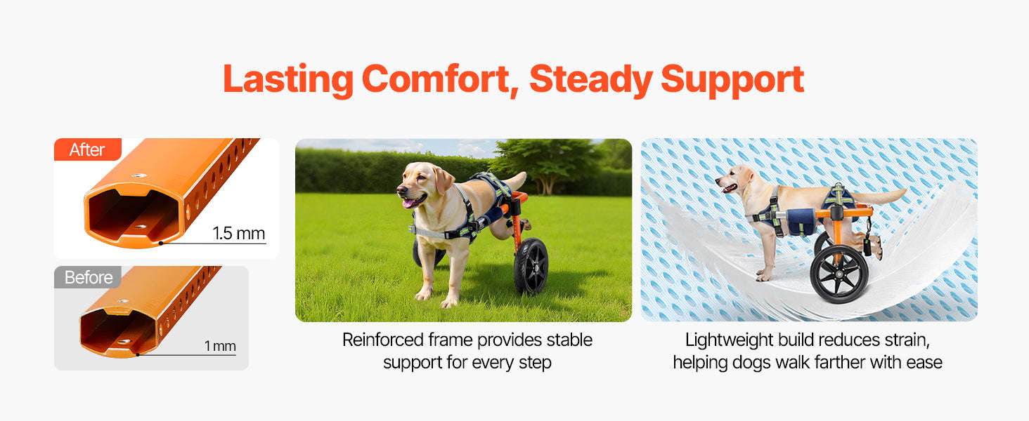 Dog Wheelchair for Back Legs, Lightweight 2-Wheel Adjustable Pet Wheelchair-M 35-48 lbs / spain