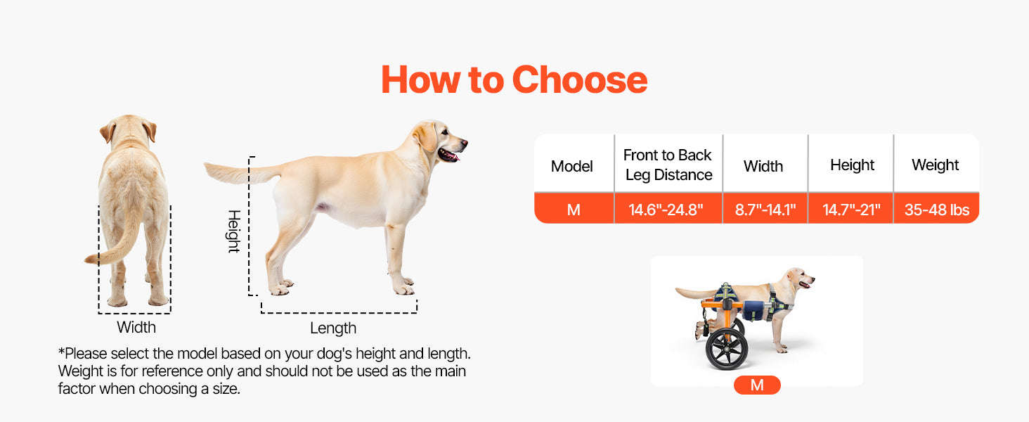 Dog Wheelchair for Back Legs, Lightweight 2-Wheel Adjustable Pet Wheelchair-M 35-48 lbs / spain