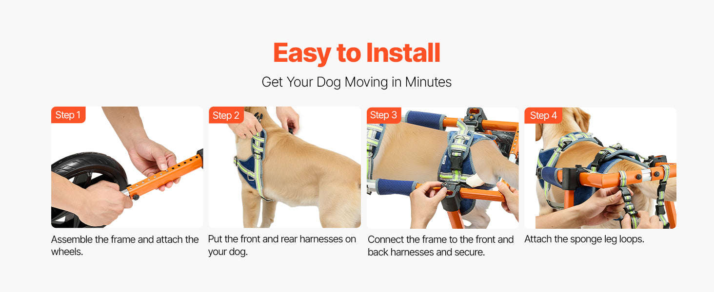 Dog Wheelchair for Back Legs, Lightweight 2-Wheel Adjustable Pet Wheelchair-M 35-48 lbs / spain
