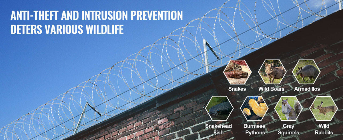 Double Spiral Galvanized Razor Wire Fencing Roll for Garden and Boundary Protection-DRBW22.5 / spain