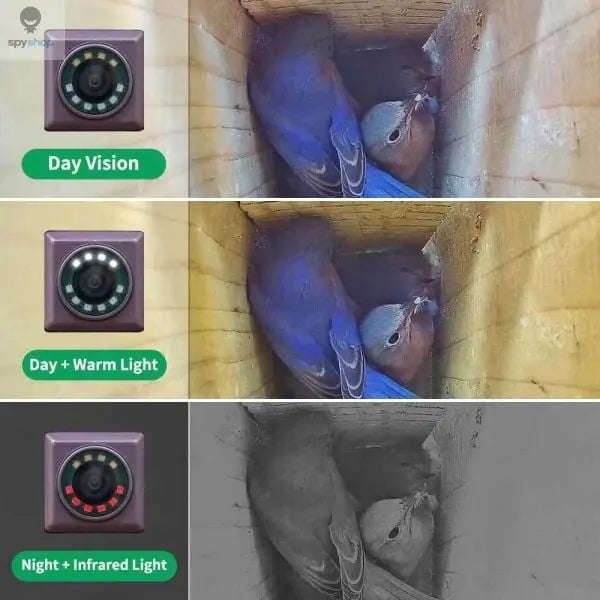 Efficient Wi‑Fi Birdwatching Camera for Nature Lovers-Default Title