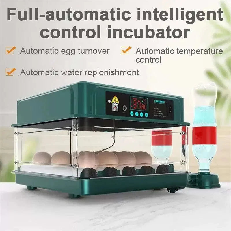 Egg Incubator with Automatic Temperature and Water Replenishment-36 Egg / Poland