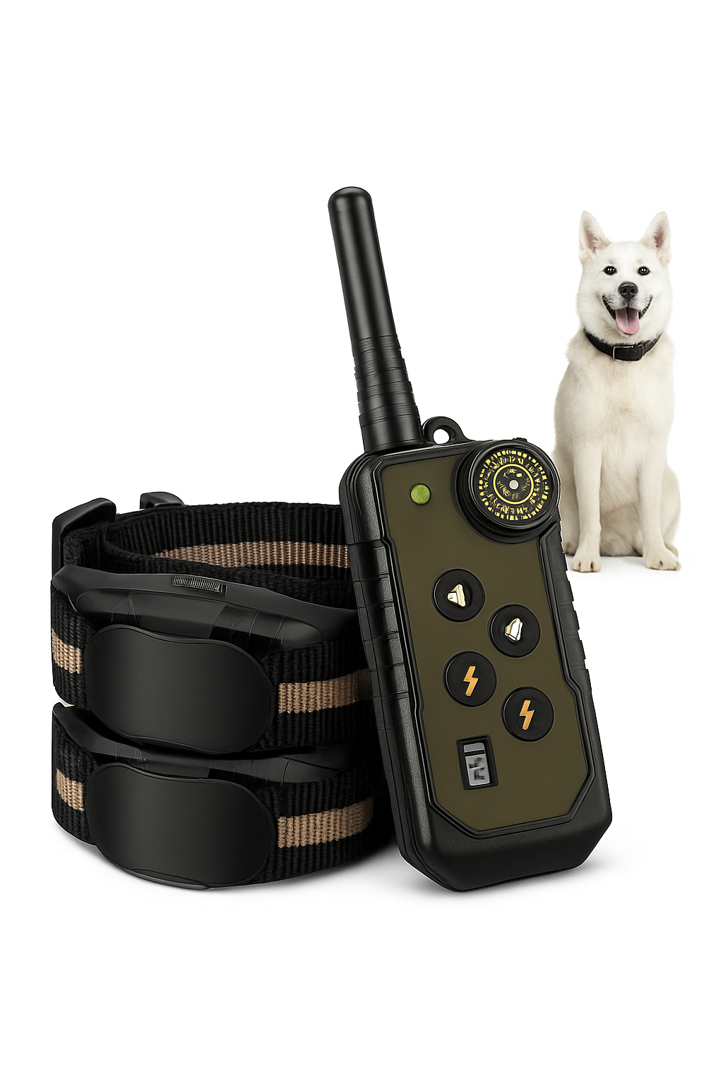 Remote Control Dog Training Collar with Waterproof Receiver