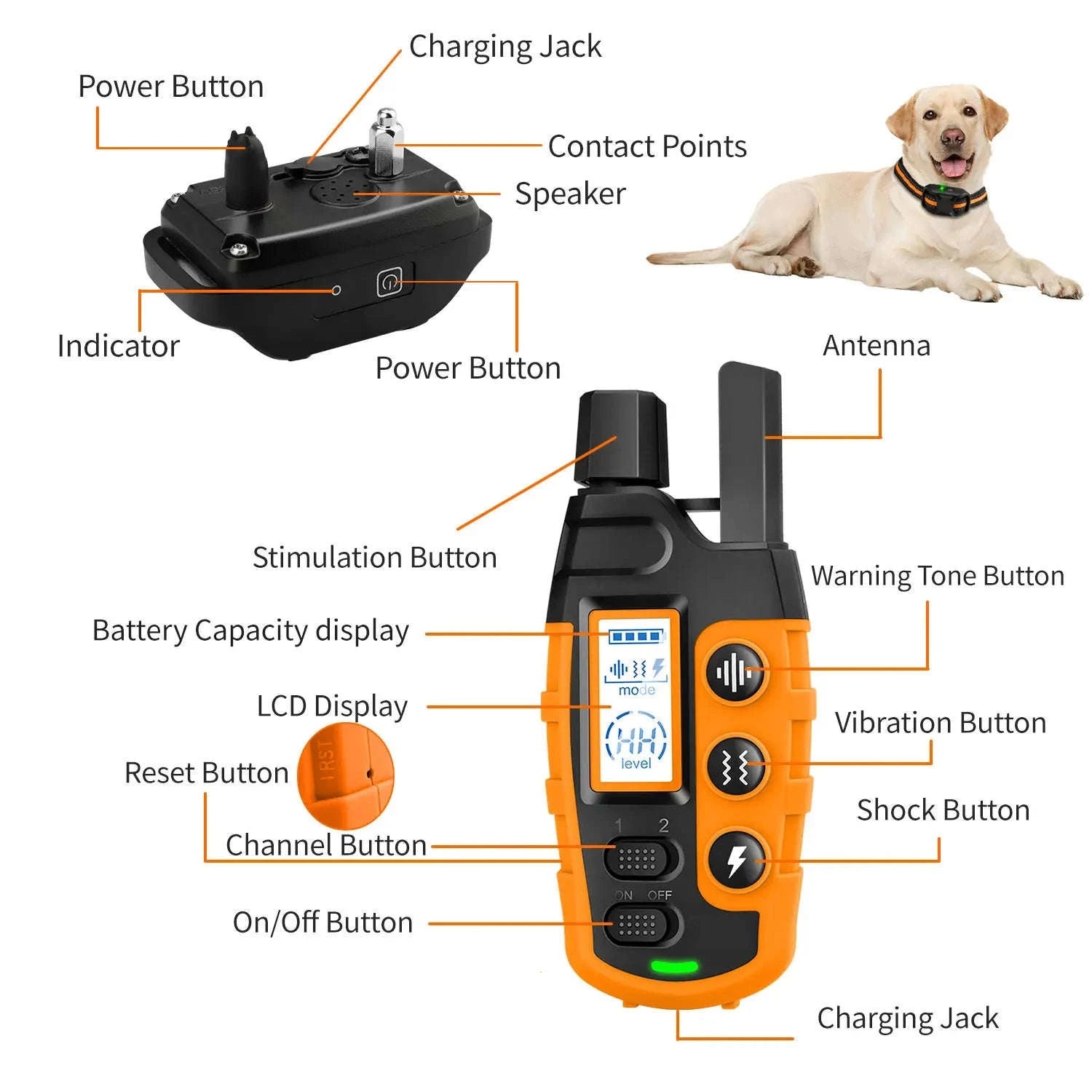 Electric Dog Training Collar with 3300Ft Waterproof Remote-For 2 Dogs