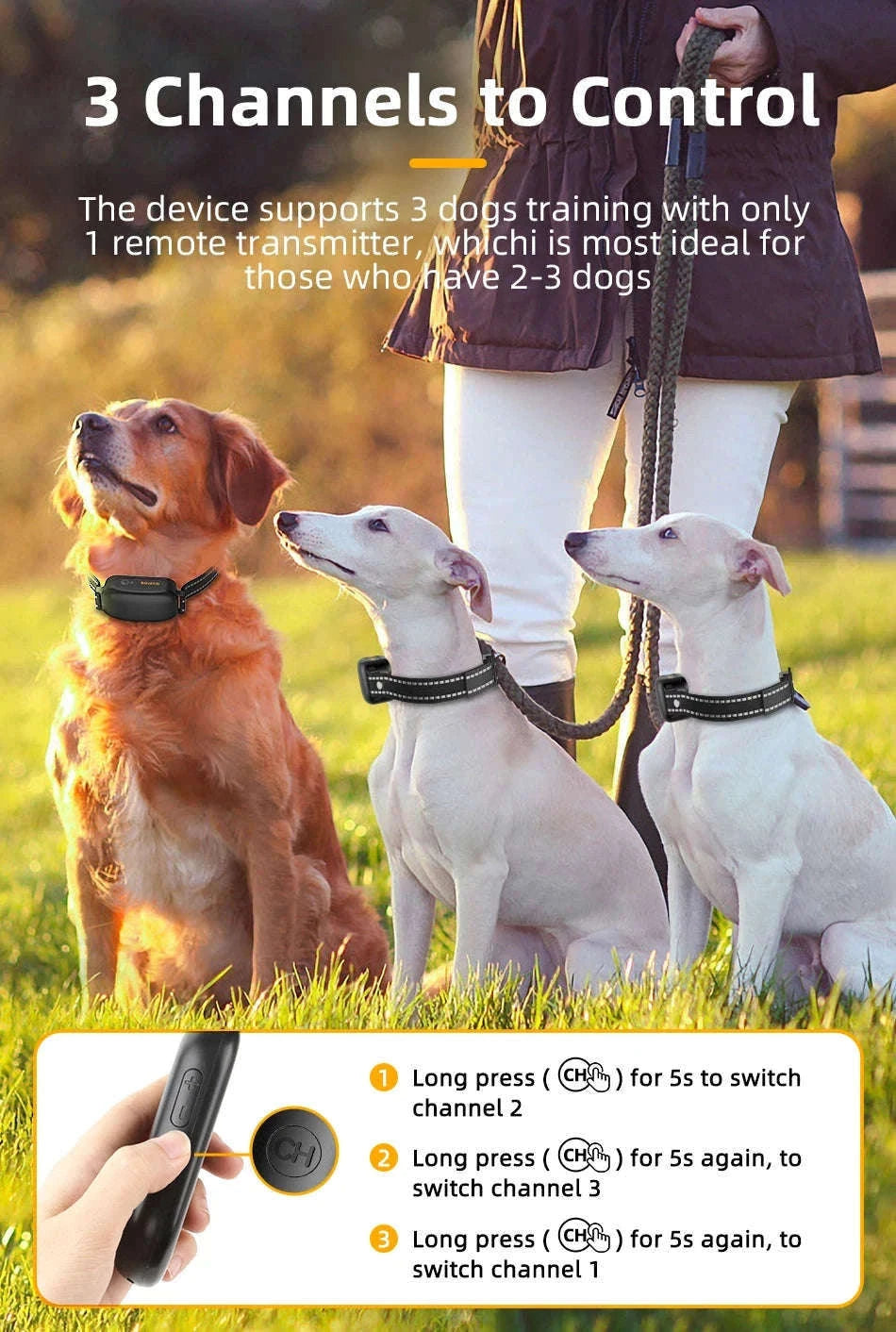 Electric Dog Training Collar with Remote Control-TC028 1 Collar