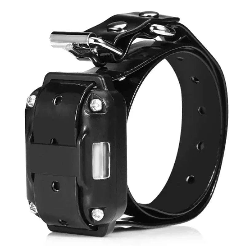Electric Dog Training Collar with Remote for Clear Guidance-for 2 dogs / US Plug